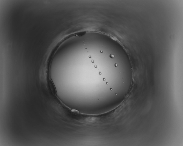 X0000089830152200706281218