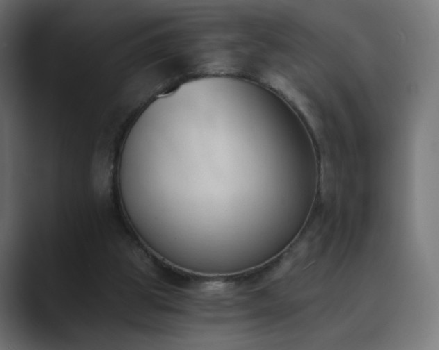 X0000089830153200706281218