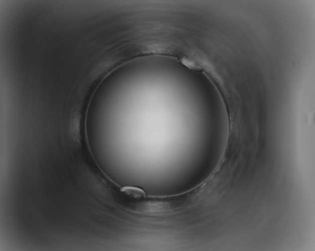 X0000089830154200706281218