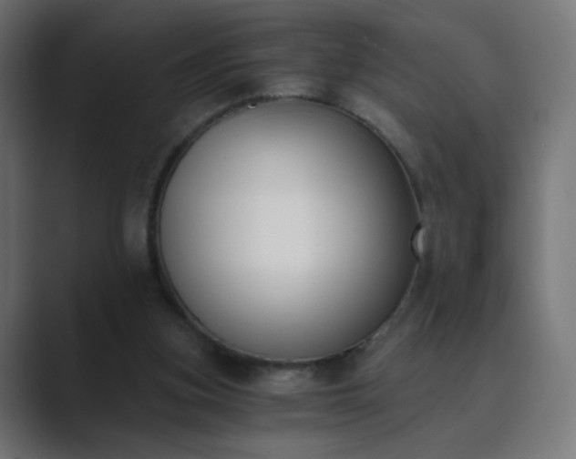 X0000089830155200706281218