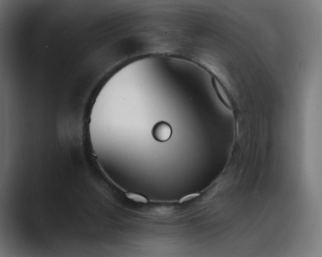 X0000089830156200706281218