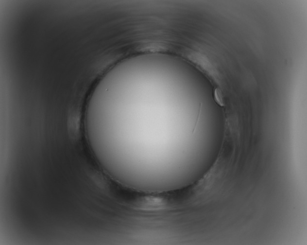 X0000089830159200706281218