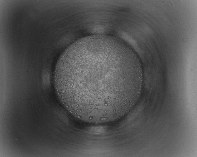 X0000089830161200706281218