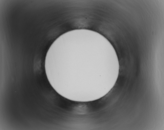 X0000089830162200706281218