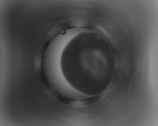 X0000089830163200706281218