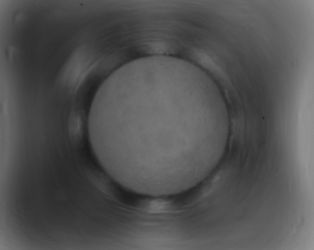 X0000089830165200706281218