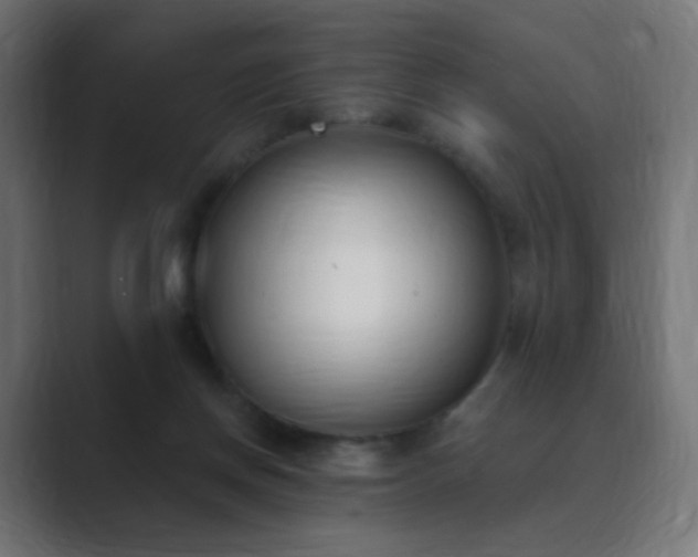 X0000089830166200706281218