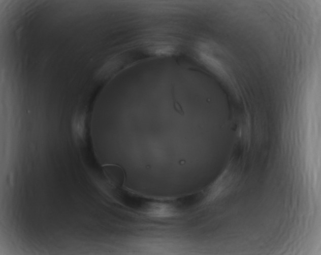 X0000089830167200706281218