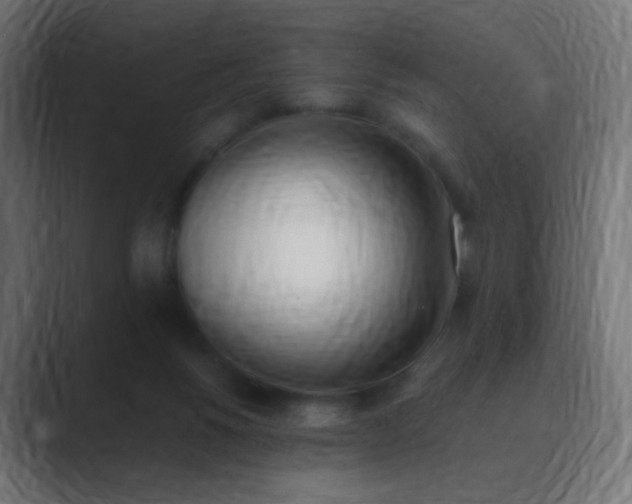 X0000089830168200706281218