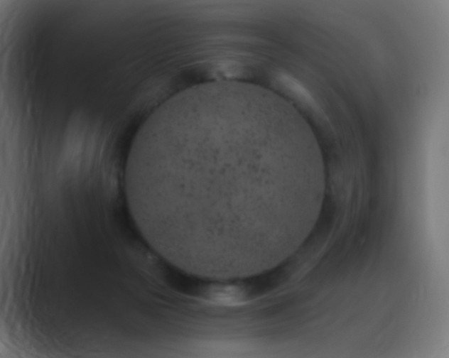 X0000089830169200706281218