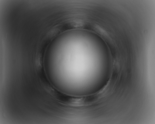 X0000089830170200706281218