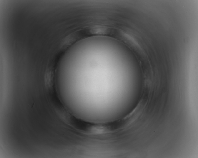 X0000089830171200706281218