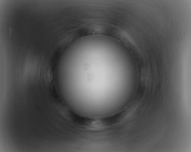 X0000089830173200706281218