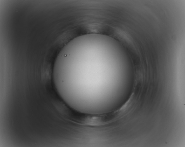X0000089830174200706281218