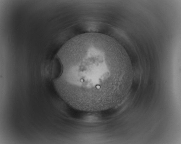 X0000089830175200706281218