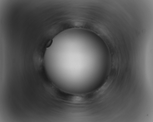 X0000089830176200706281218