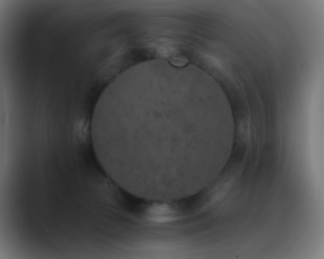 X0000089830177200706281218