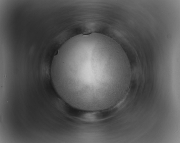 X0000089830178200706281218