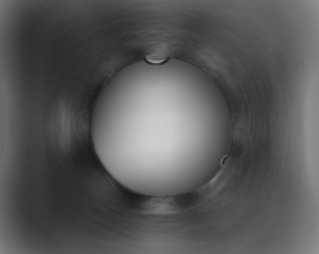 X0000089830179200706281218
