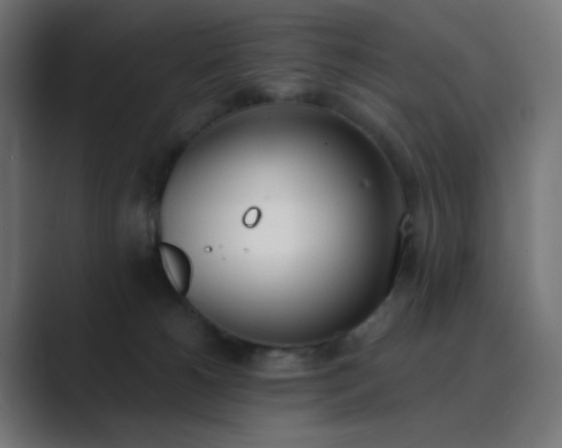 X0000089830180200706281218