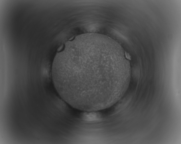 X0000089830181200706281218