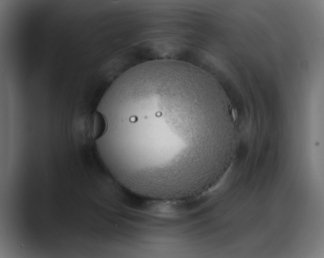 X0000089830182200706281218