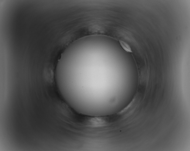 X0000089830183200706281218