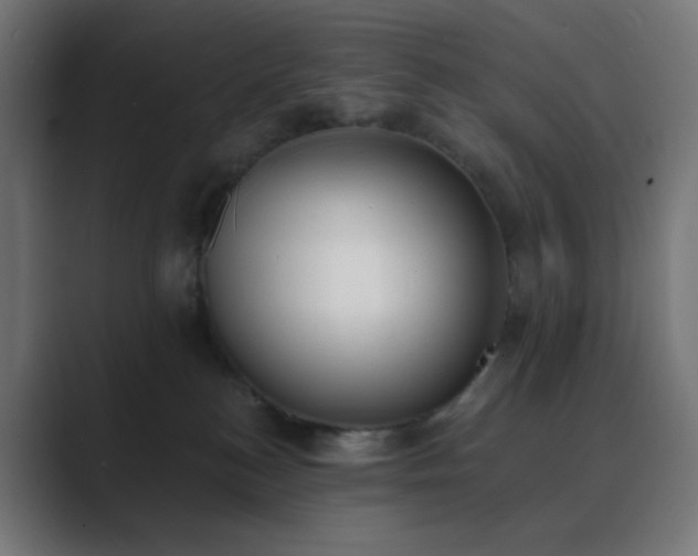 X0000089830184200706281218
