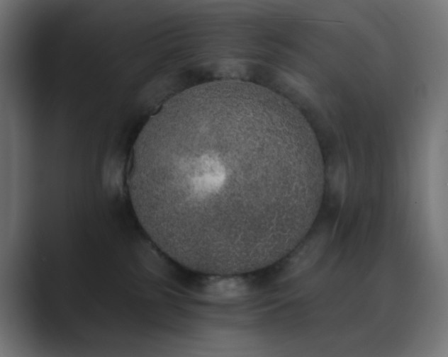 X0000089830185200706281218
