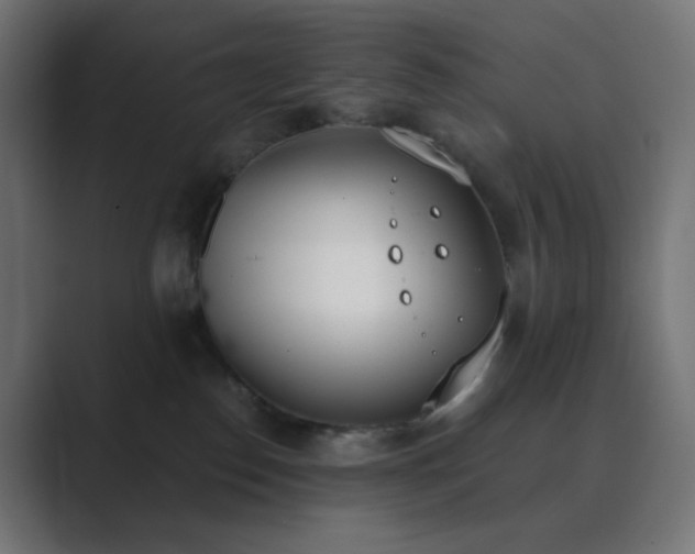 X0000089830186200706281218