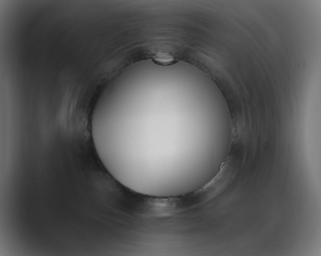 X0000089830187200706281218