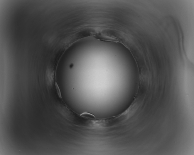 X0000089830188200706281218