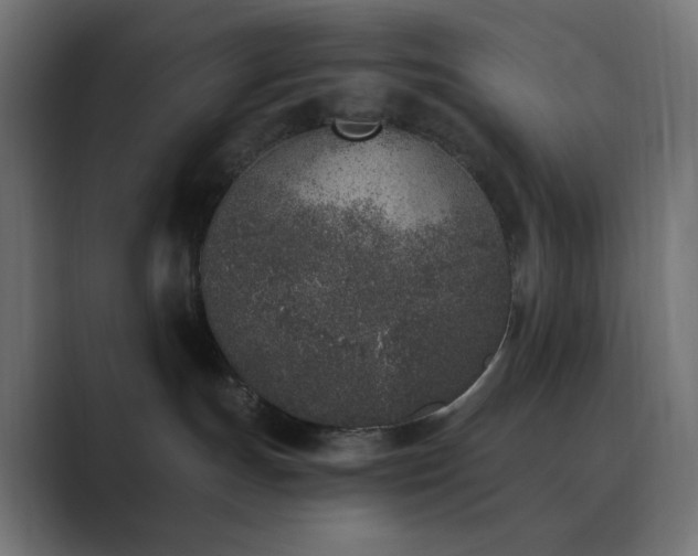 X0000089830191200706281219