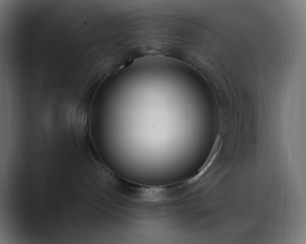 X0000089830192200706281219