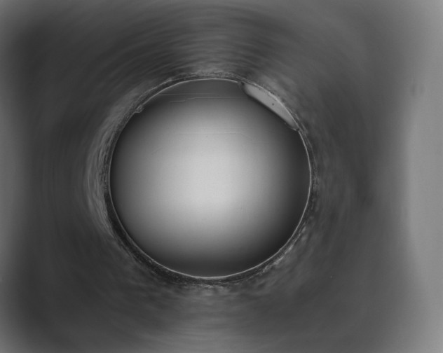 X0000089830193200706281218