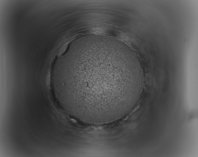 X0000089830194200706281218
