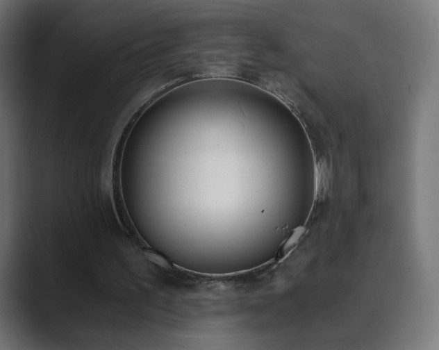X0000089830195200706281218