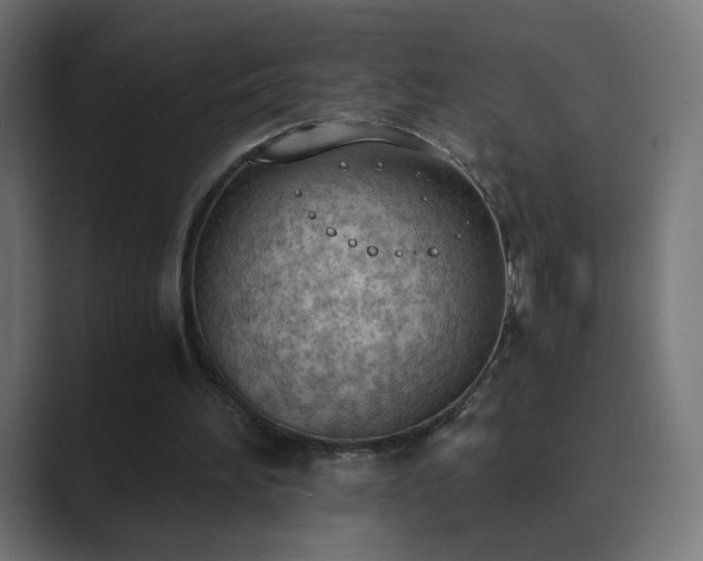 X0000089830196200706281218