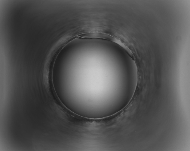 X0000089830197200706281218