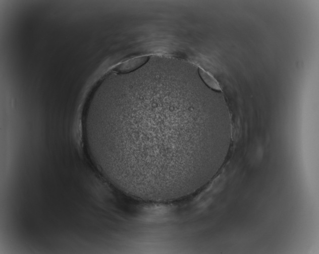 X0000089830198200706281218