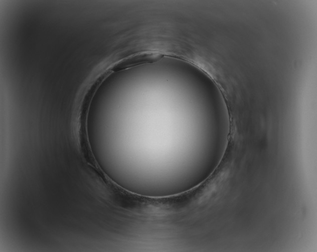 X0000089830199200706281218