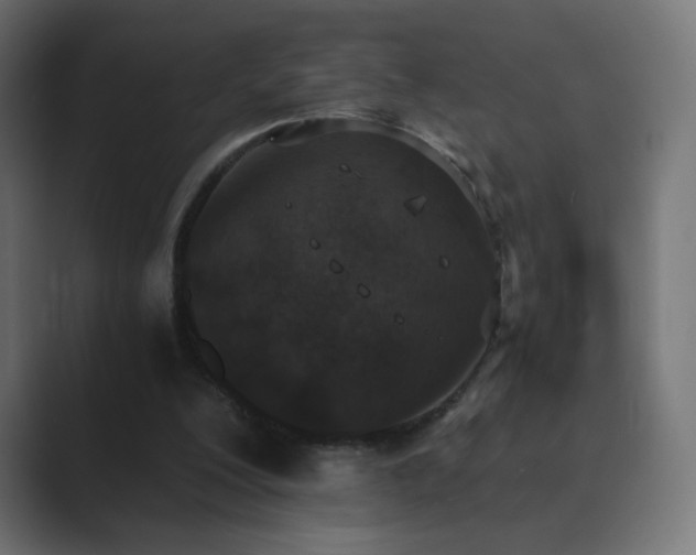 X0000089830200200706281218
