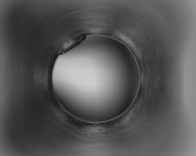 X0000089830201200706281218