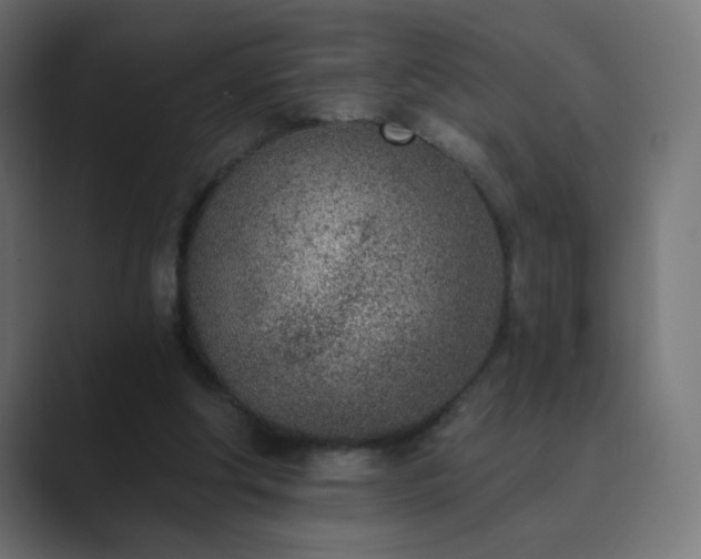 X0000089830202200706281218