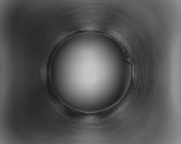 X0000089830204200706281218