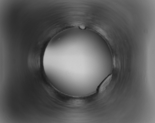 X0000089830205200706281218