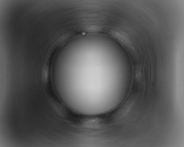 X0000089830206200706281218