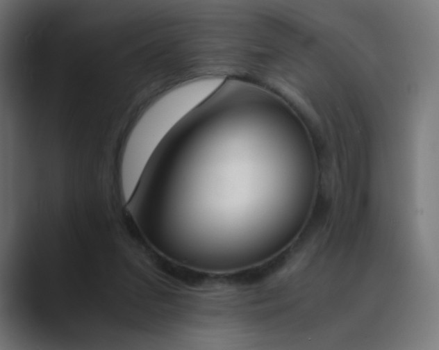 X0000089830207200706281218