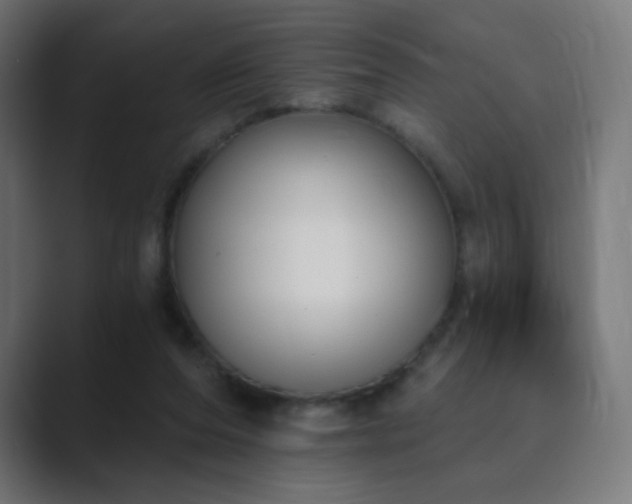 X0000089830208200706281218