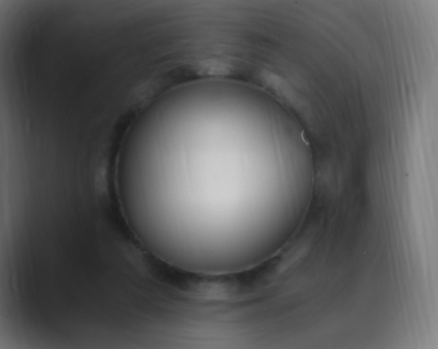 X0000089830209200706281218